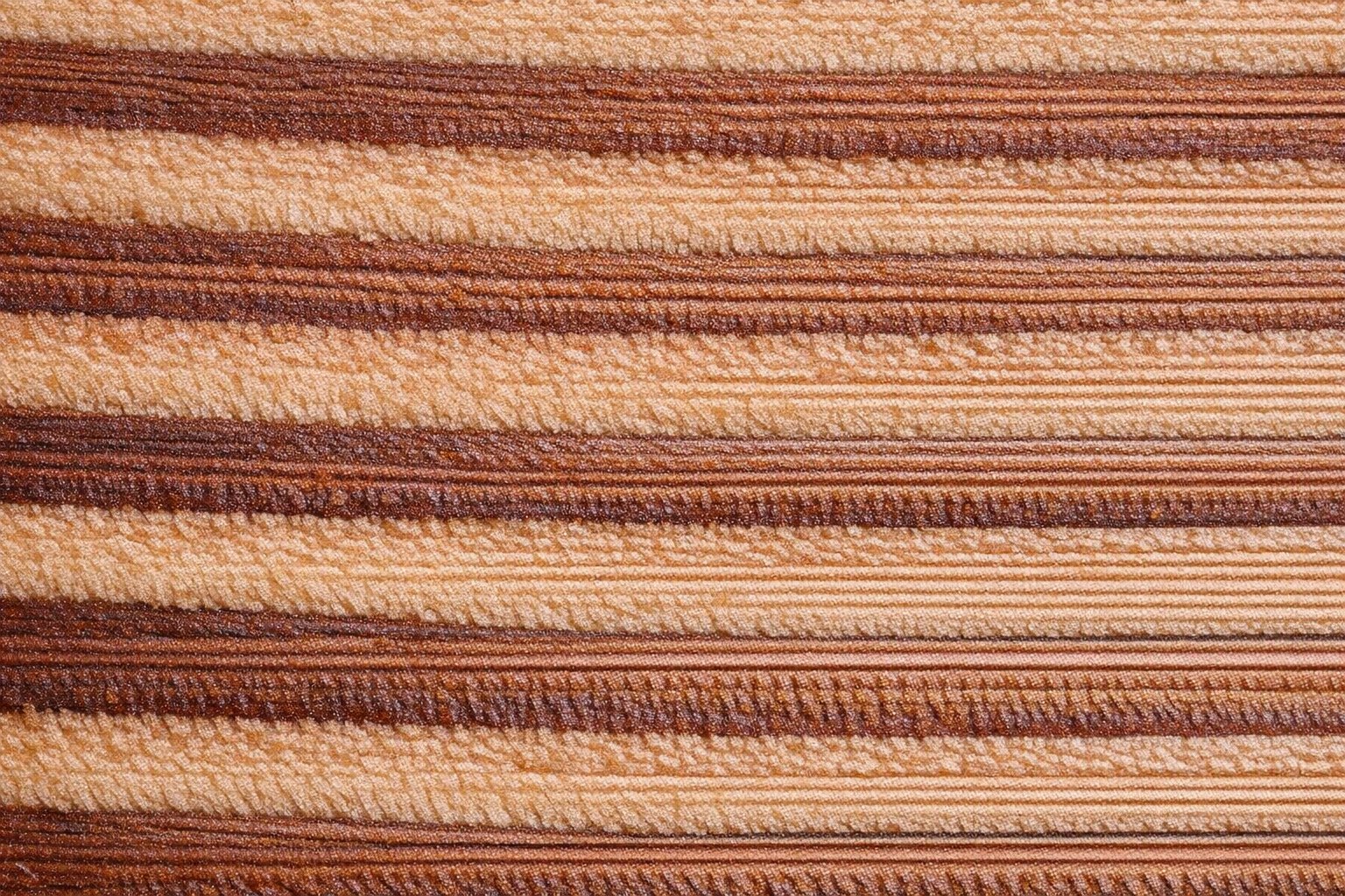 Douglas Fir board end grain showing straight grain and hard dark latewood bands